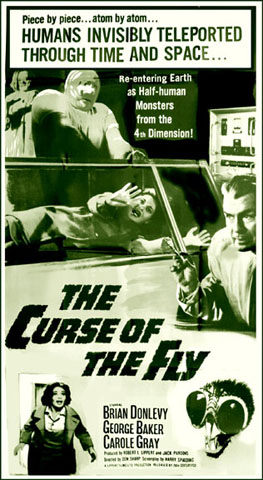Buy Curse of the Fly