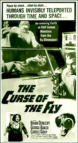 Buy Curse of the Fly